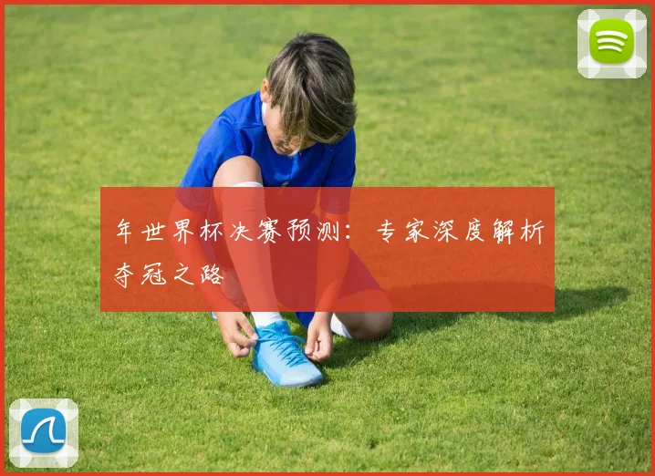 年世界杯决赛预测：专家深度解析夺冠之路