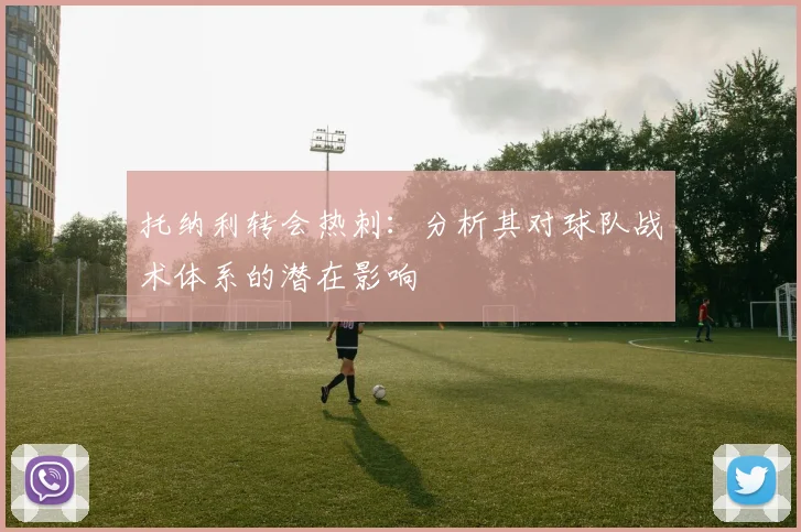 托纳利转会热刺：分析其对球队战术体系的潜在影响