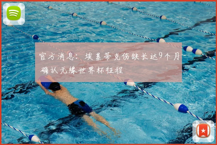 官方消息:埃基蒂克伤缺长达9个月 确认无缘世界杯征程