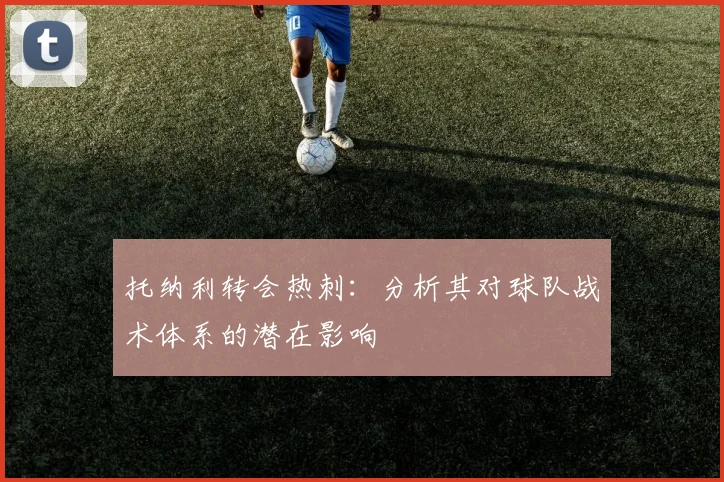 托纳利转会热刺:分析其对球队战术体系的潜在影响